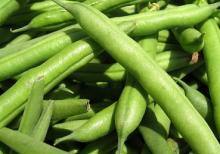 Fresh Green Beans