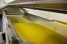 Quality Anhydrous Milk Fat
