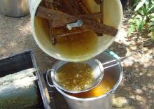 Natural and pure honey