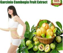 Hydroxycitric Acid Powder/Garcinia Cambogia Extract