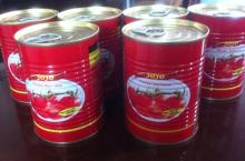 canned mackerel in tomato sauce