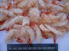  Dried   shrimp   shell 