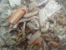 Dried crab shell