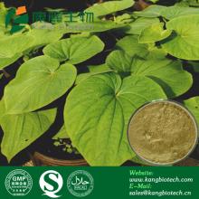  Kava   Kava   Extract 