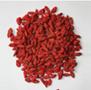 organic/conventional Dried Goji berry