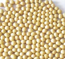 Soybean Extract Powder