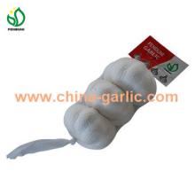 pure  white   garlic 