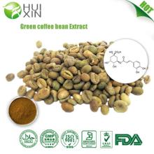 Green coffee bean extract 20%,30%,50%