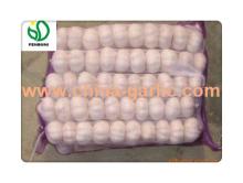 small package garlic