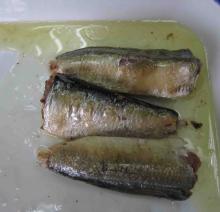 canned sardine in oil