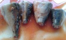 155g canned mackerel in tomato sauce