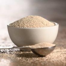 Instant Active Dry Yeast