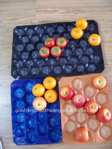 Food Grade SGS PP Fresh Fruit Tray