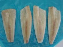 Alaska pollock ( APO )  fillets 
