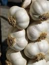  Garlic   extract 
