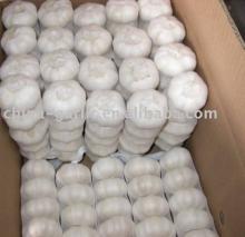 pure white garlic of Jinxiang