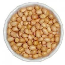  JAVA   Peanut 