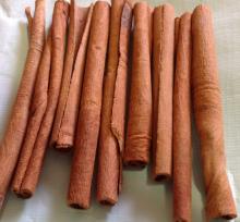 finger  cassia  ,  cassia   vera 