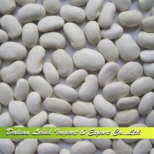2014 Crop Big Beans Wholesale Competitive Price Good Quality,Butter Beans