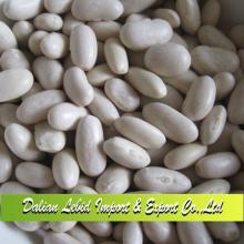 Good Quality  White  Kidney  Beans   Baishake   Type  Wholesale 2014 Crop,WKB  Baishake   Type 