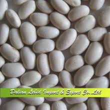 2014 Crop Best Quality White Kidney  Beans  Japanese Type Wholesale,WKB,White  Beans   Price 