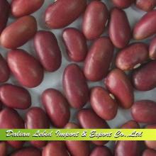 Good Quality Small Red Kidney Beans Wholesale 2013 Crop,Red Beans