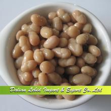 Canned White Kidney Beans, China Origin,Canned Food 2014 Crop