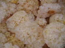 Dried White Fungus Whole/Slice