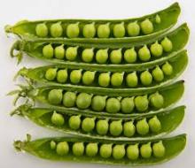 Sell  Frozen   Sugar   Pea s