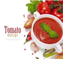  tomato   ketchup / tomato   paste / tomato  sauce/Suzhou Banshda  ketchup 