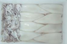 Frozen Cleaned Loligo Squid