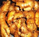fresh Ginger