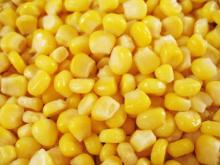 Frozen sweet corn