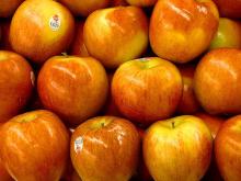 FRESH APPLES