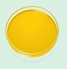 turmeric extract