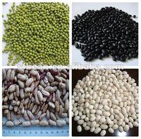 white kidney bean,Green Mung Bean