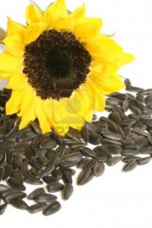 We offer Refined and Crude Palm Oil,coconut oil,castor oil,Camilla oil,Apricot oil,avocado,rape seed