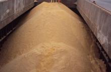 animal gluten feed