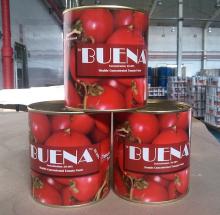 Tomato Paste in 800 grams Can