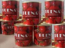 800 Grams Tomato Paste in Can