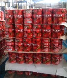 4500 Grams Canned Tomato Paste
