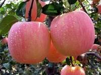 Fresh Apple Fruit/Pineaple