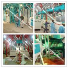 maize grinding mill