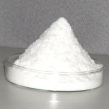  xylitol 
