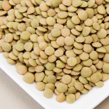 best quality lentils