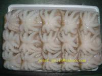 Frozen Baby Octopus