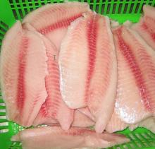 Frozen Tilapia Fillet Skinless
