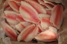 Frozen Tilapia Fillet Skinless