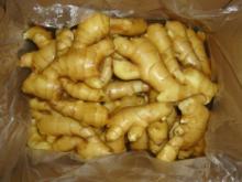 Fresh ginger wax carton