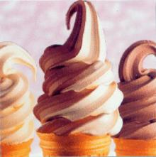 soft iice cream powder,  chocolate  ice cream powder